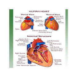 > </div>
<div class=